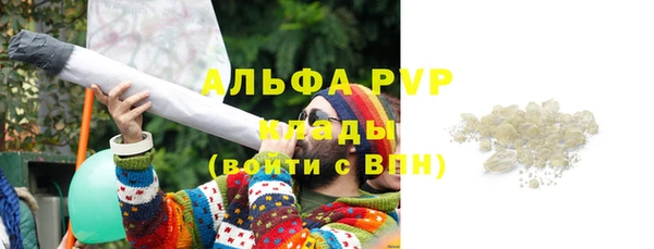 гашик Абинск