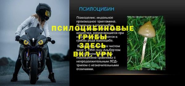 а пвп мука Абдулино