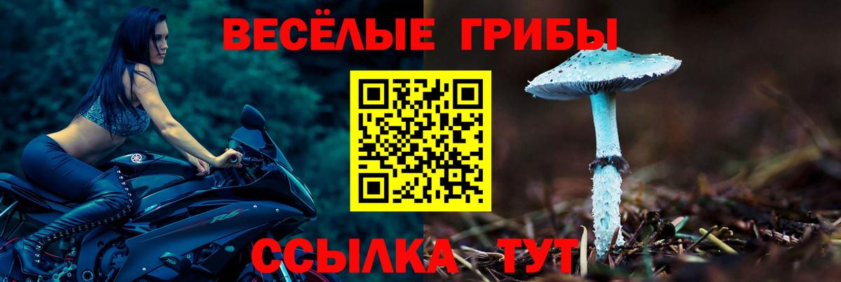 Галлюциногенные грибы Magic Shrooms Тольятти