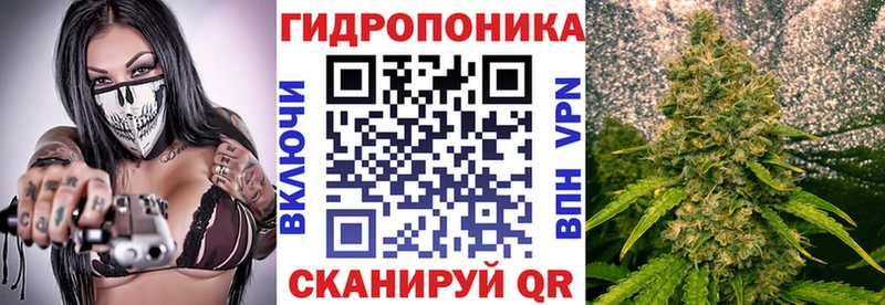 Шишки марихуана сатива как найти закладки Тольятти